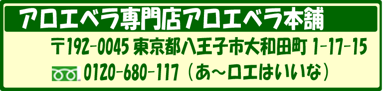 アロエベラ本舗の住所!