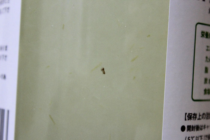 破砕機で崩れた果肉内の筋