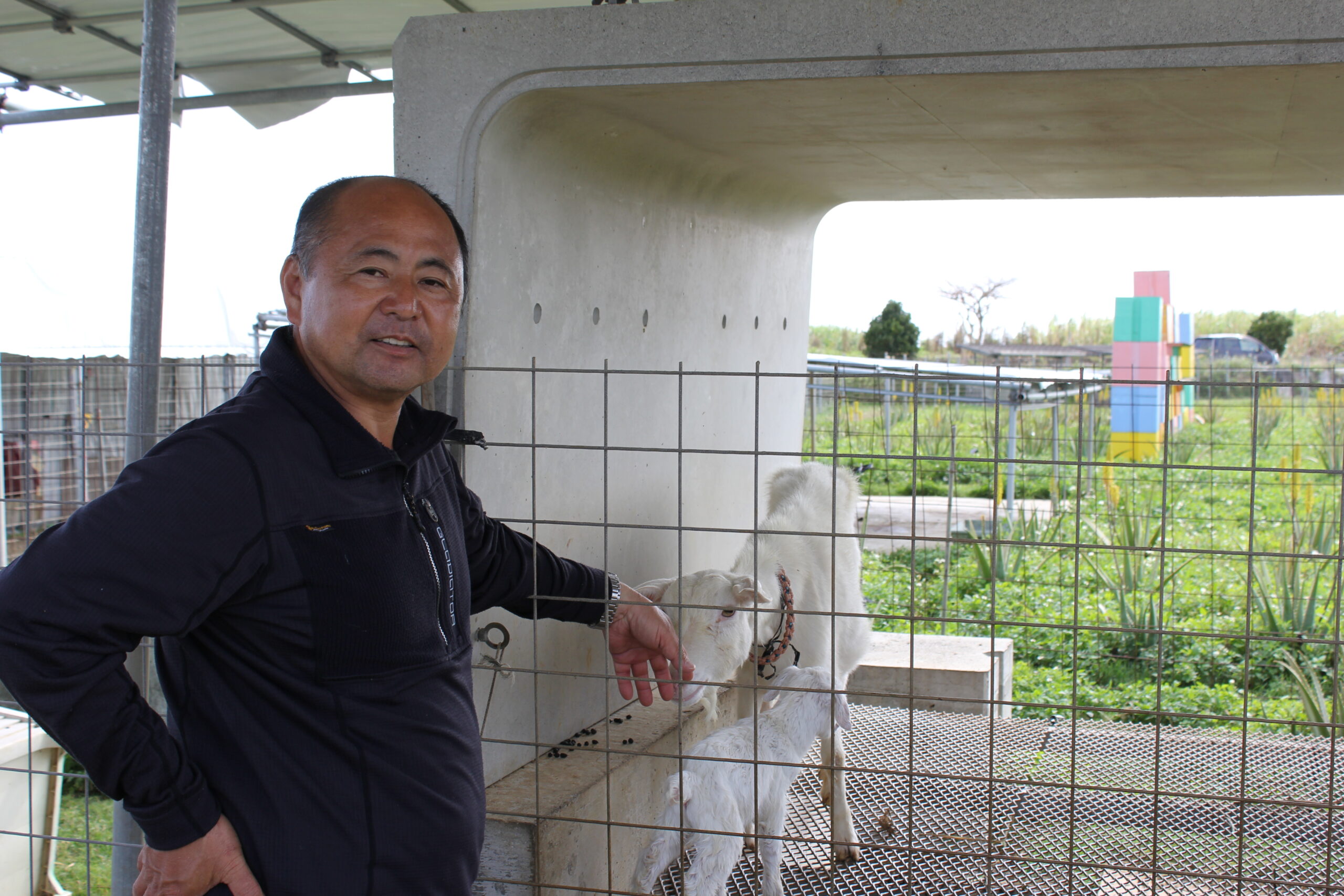 砂川さんとヤギ親子