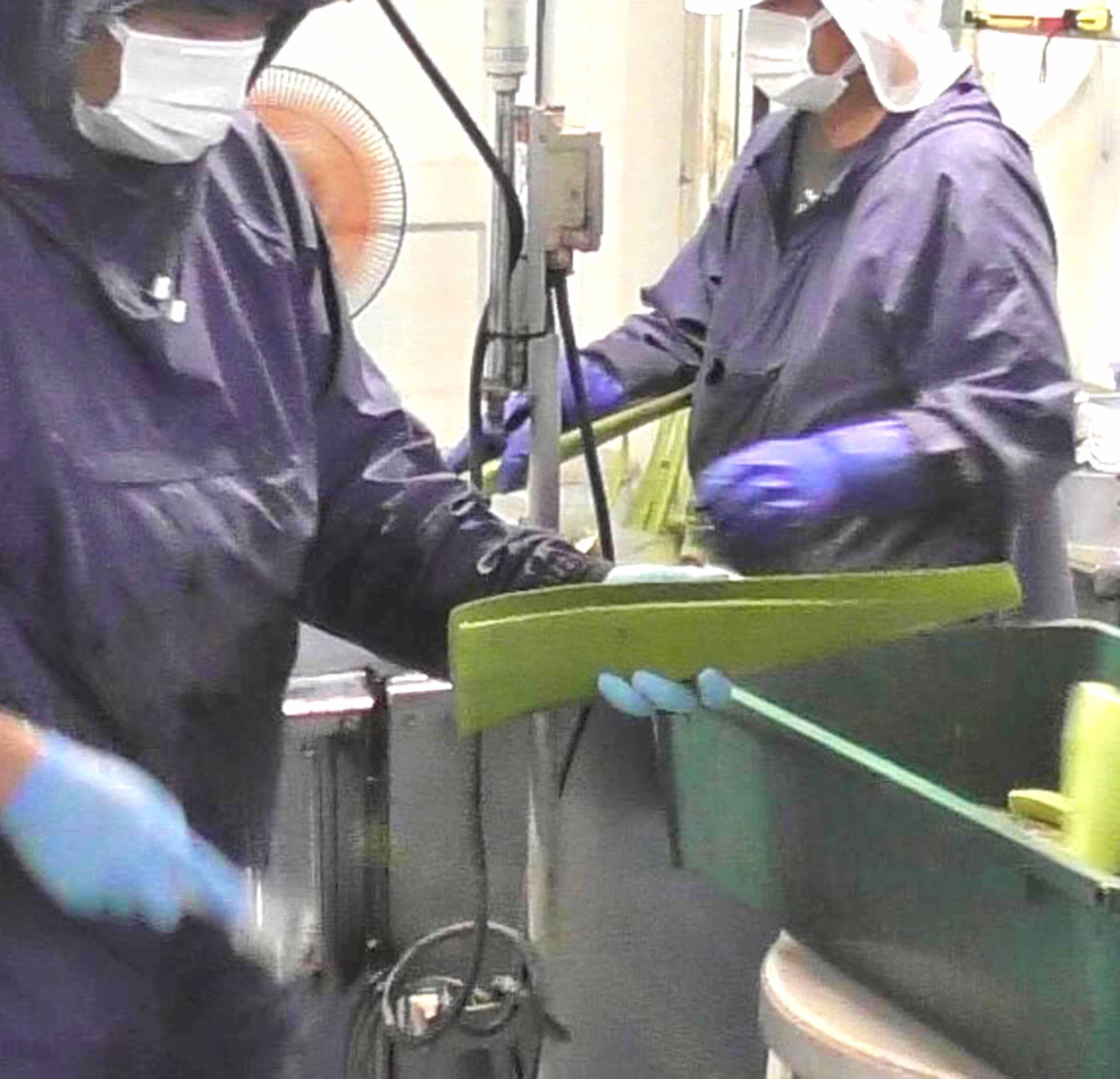 アロエベラの皮むき