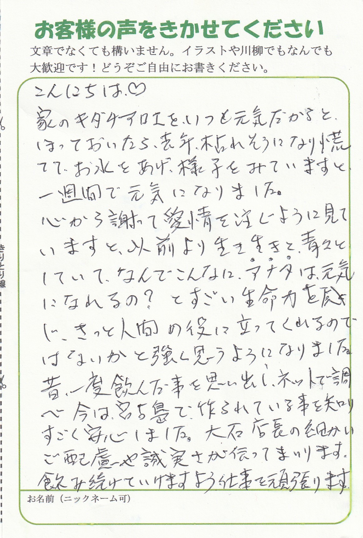 お客様からのメッセージ